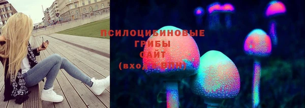 сатива Аркадак