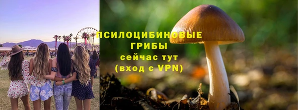 кокс Арсеньев