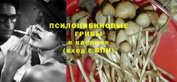 сатива Аркадак
