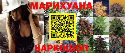 Альфа ПВП Краснознаменск
