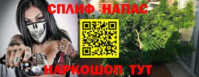 Альфа ПВП Краснознаменск