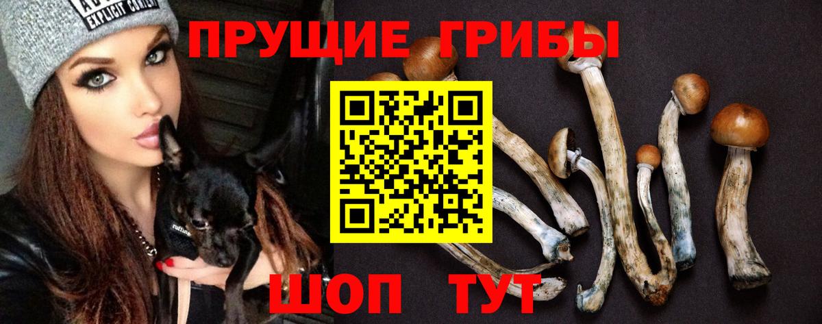 Кубинка  Псилоцибиновые грибы мухоморы  купить наркоту  Вход с VPN 